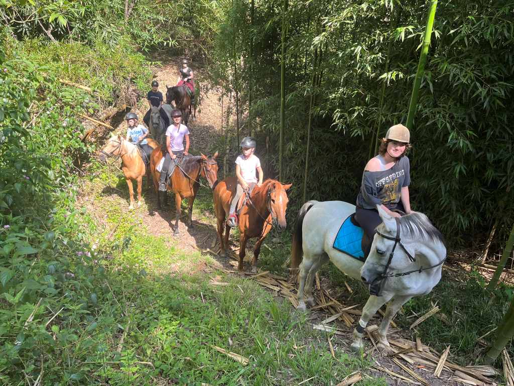 Blue Horizons Horse Trails