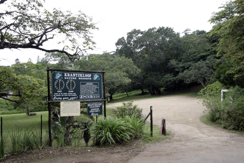 Krantzkloof Nature Reserve
